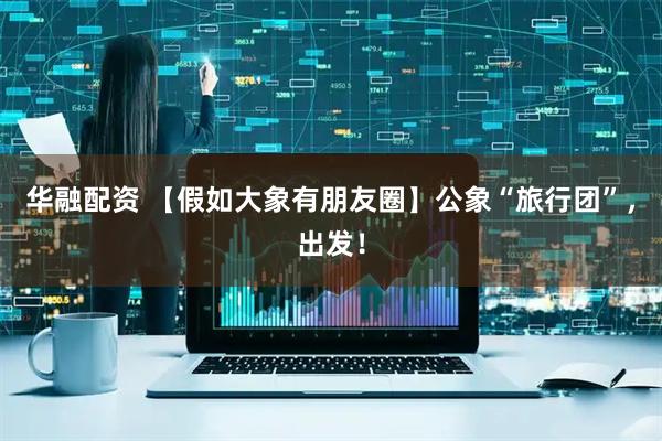 华融配资 【假如大象有朋友圈】公象“旅行团”，出发！