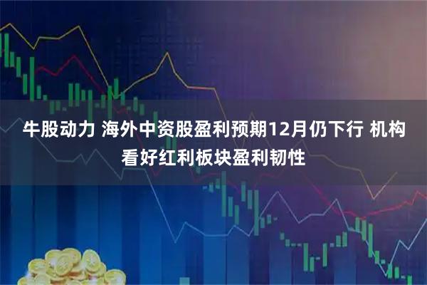 牛股动力 海外中资股盈利预期12月仍下行 机构看好红利板块盈利韧性