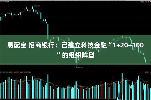 易配宝 招商银行：已建立科技金融“1+20+100”的组织阵型