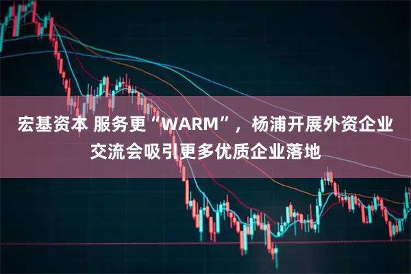 宏基资本 服务更“WARM”，杨浦开展外资企业交流会吸引更多优质企业落地