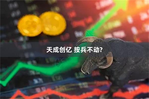 天成创亿 按兵不动?