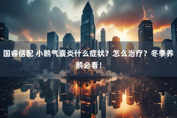 国睿信配 小鹅气囊炎什么症状？怎么治疗？冬季养鹅必看！