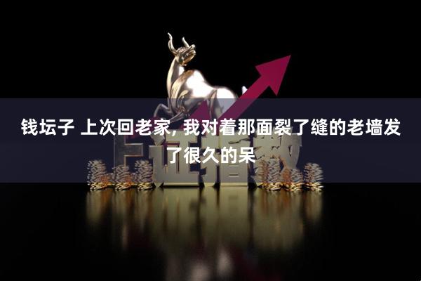 钱坛子 上次回老家, 我对着那面裂了缝的老墙发了很久的呆